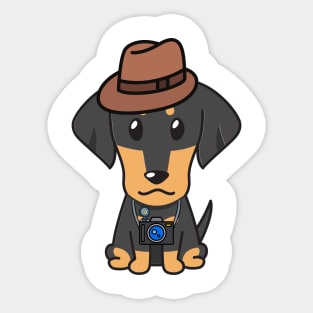 Funny dachshund is holding a camera Sticker